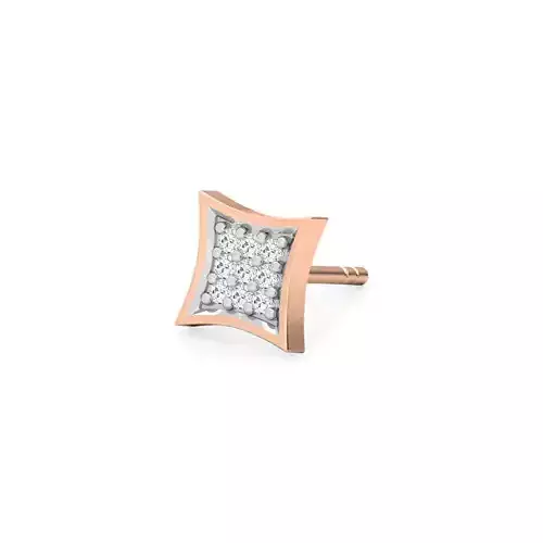 Asher Ear Studs Earrings