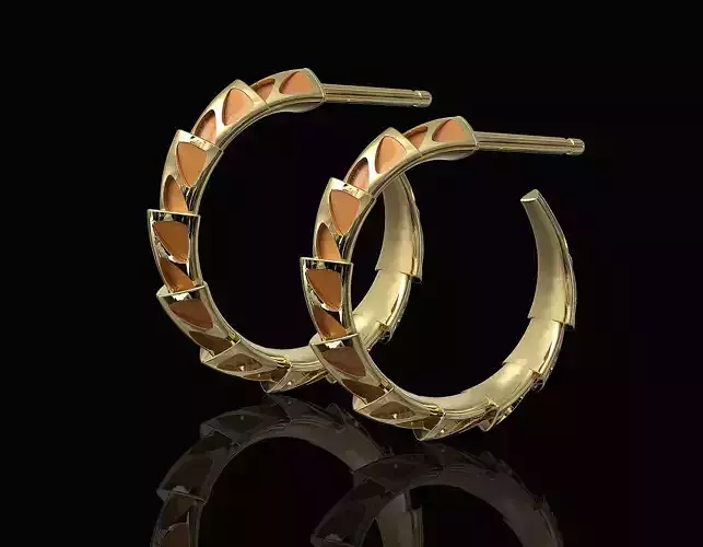 Carapace with enamel earrings