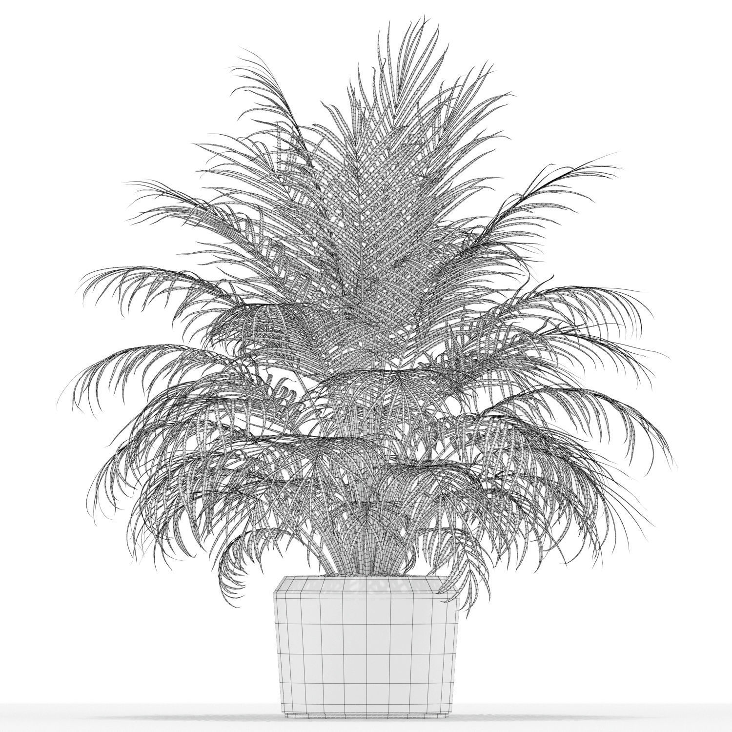 Plants collection 149 3D model_2