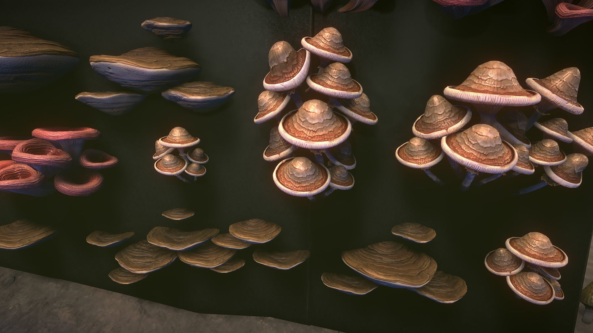 Big mushrooms Low-poly 3D model_3