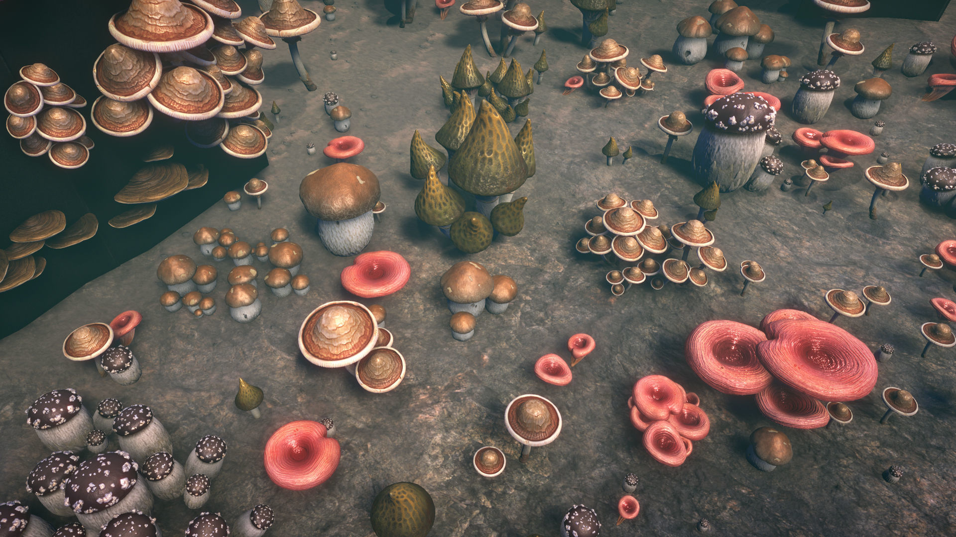 Big mushrooms Low-poly 3D model_2