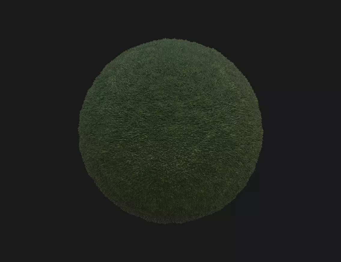 Grass texture pbr Texture_0