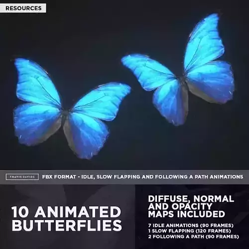 10 Animated Butterflies - FREE Free 3D model