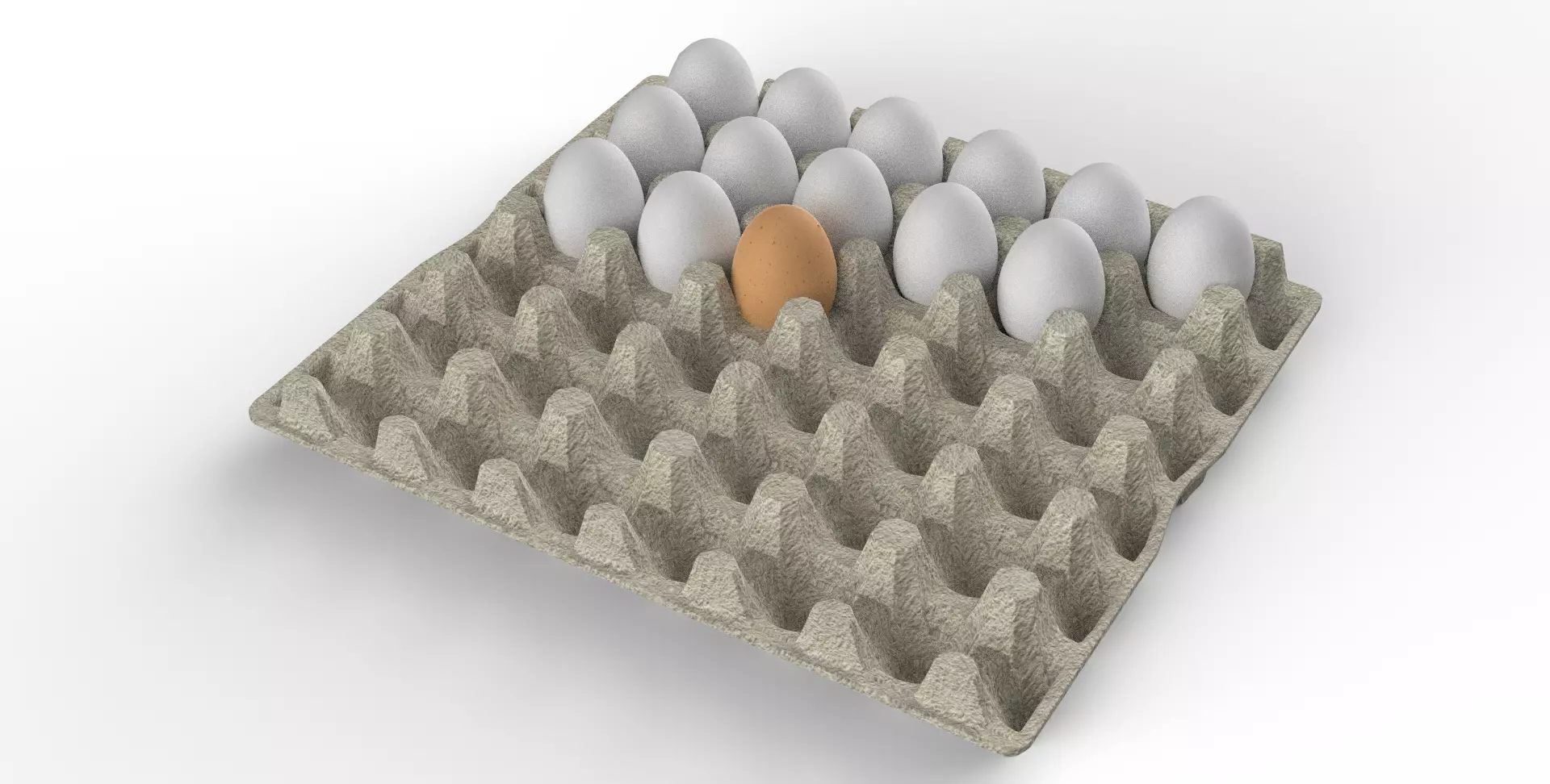 Egg Carton  3D model_0