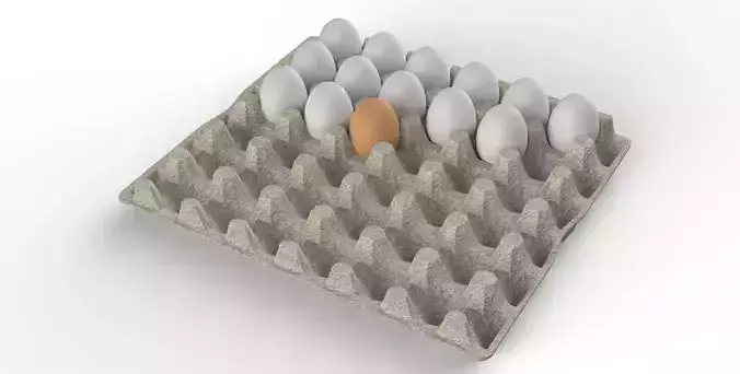 Egg Carton  3D model