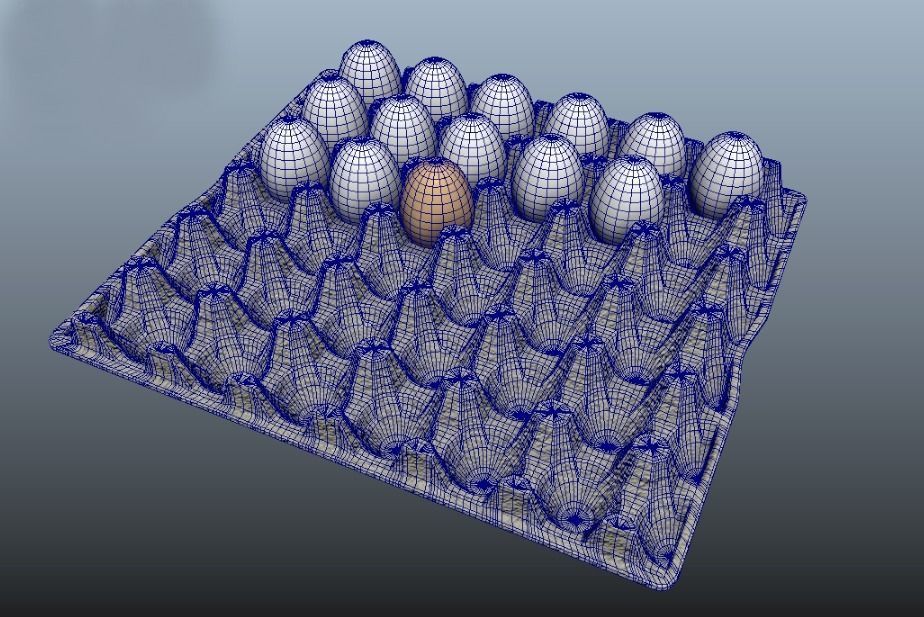Egg Carton  3D model_6