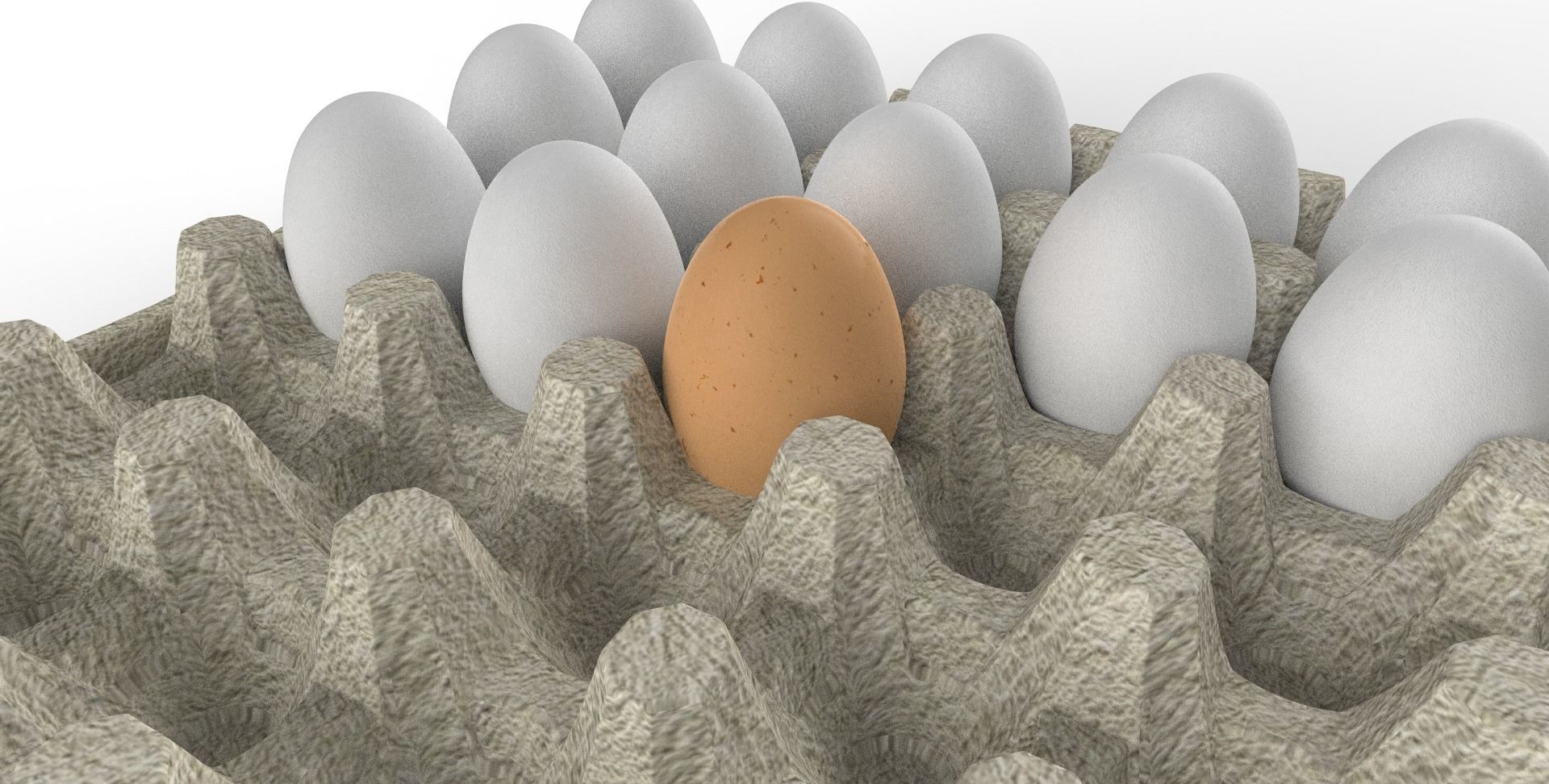 Egg Carton  3D model_1