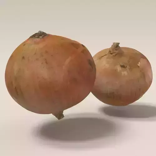 3d scanned onion A