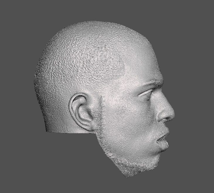 NBA CP3 Head sculpt Basketball 3D print model_2