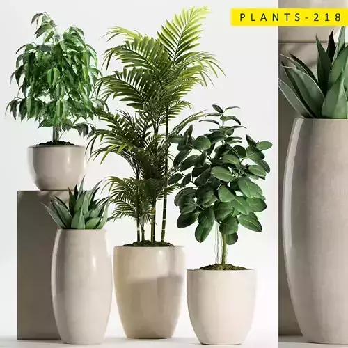 Plants 218