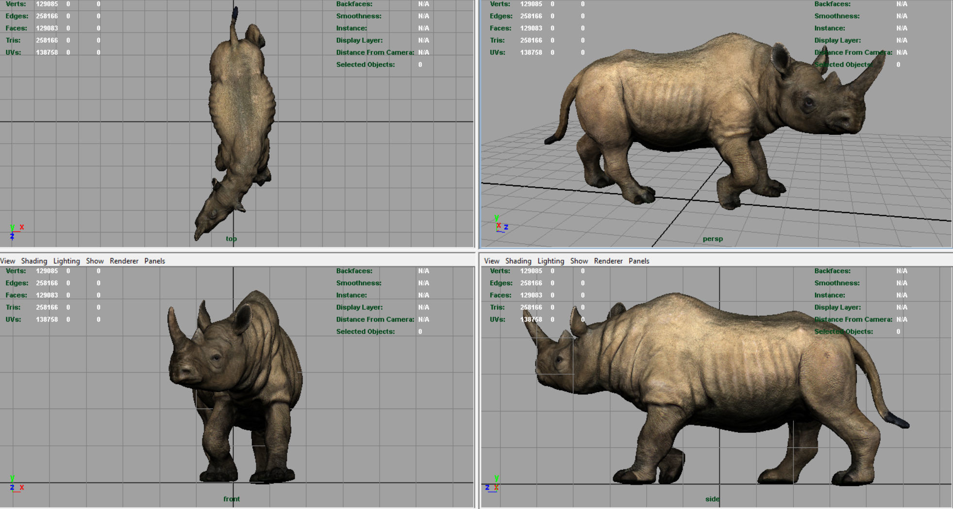White rhinoceros Low-poly 3D model_5