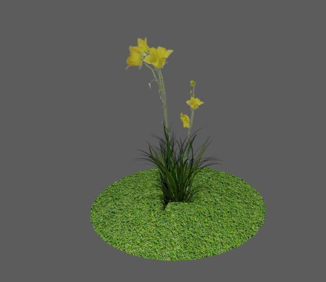 Low Poly Flower Alpha model Low-poly 3D model_4