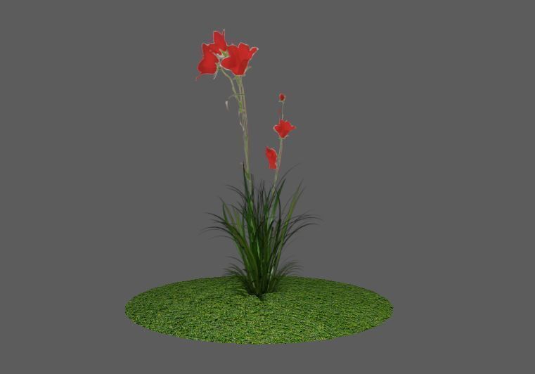 Low Poly Flower Alpha model Low-poly 3D model_6