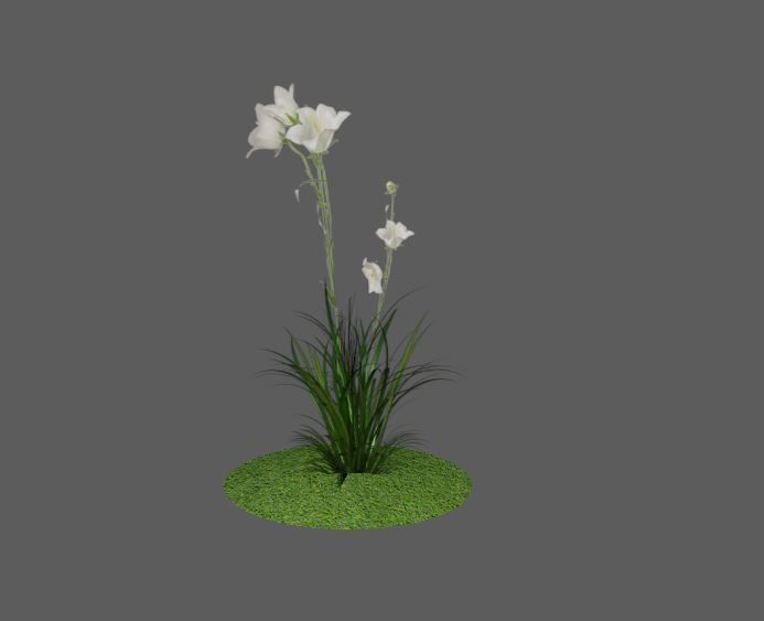 Low Poly Flower Alpha model Low-poly 3D model_5