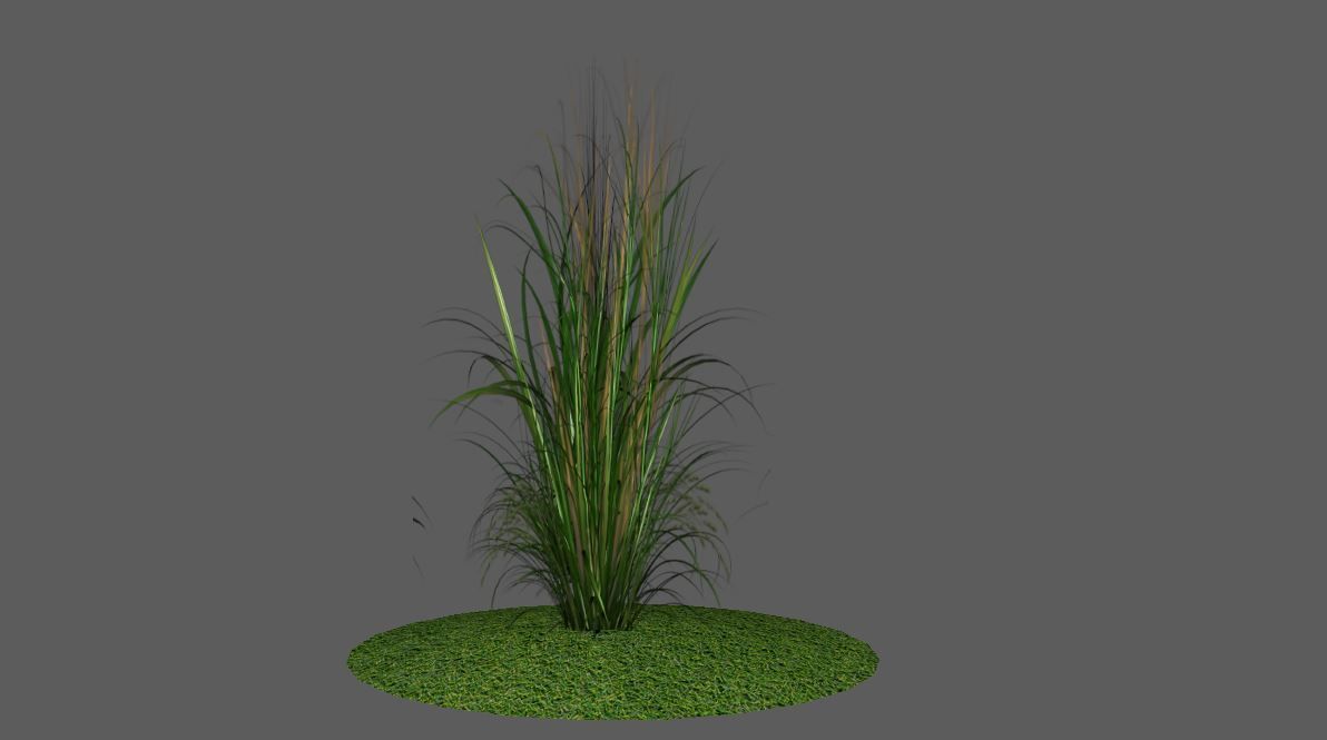 Low Poly Alpha Grass Pack Vol 01 Low-poly 3D model_2