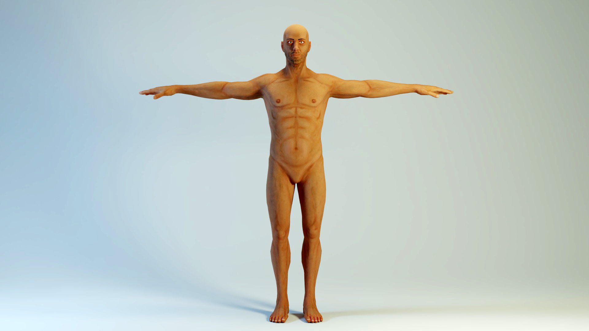 Low poly Human Anatomy Model Low-poly 3D model_2