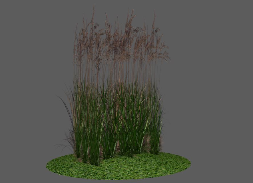 Low Poly Alpha Grass Pack Vol 03 Low-poly 3D model_4