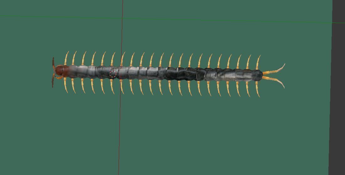 Centipede Riged Low-poly 3D model_3