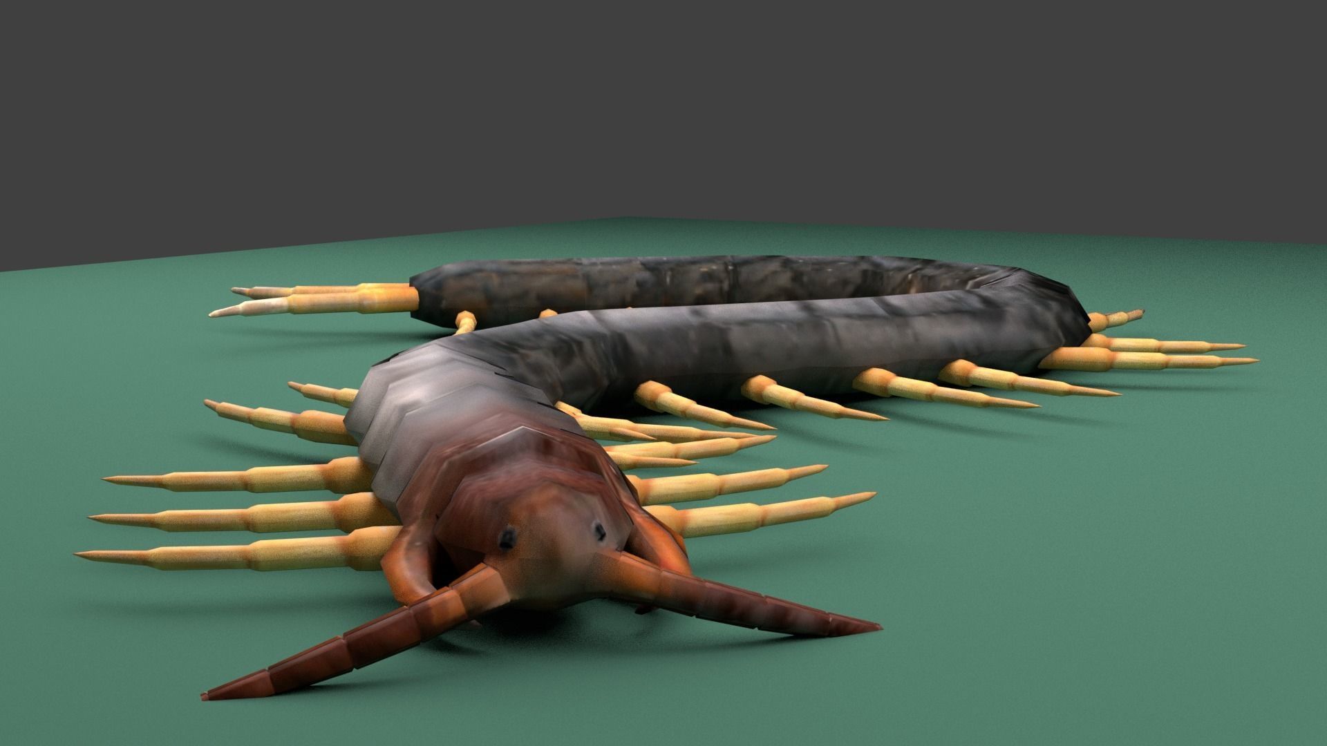 Centipede Riged Low-poly 3D model_10