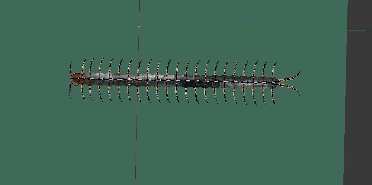 Centipede Riged Low-poly 3D model_2