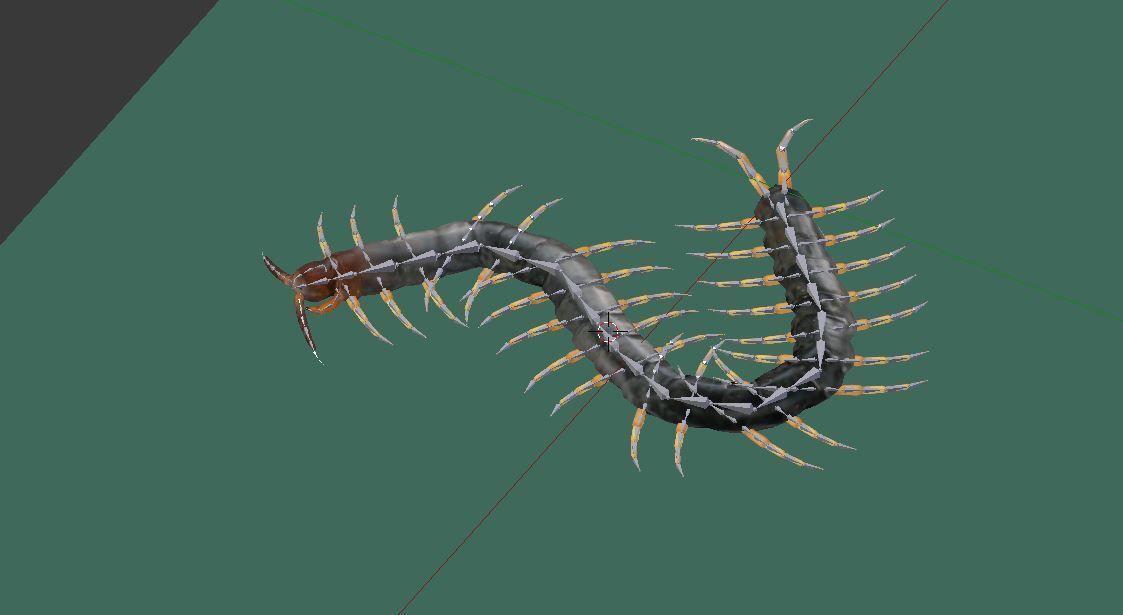 Centipede Riged Low-poly 3D model_1