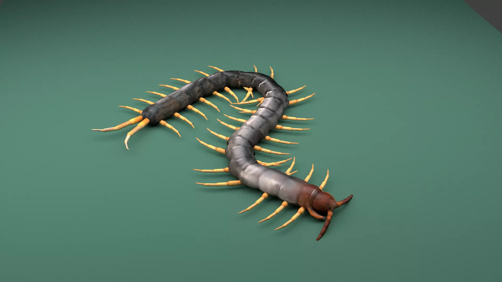 Centipede Riged Low-poly 3D model_0