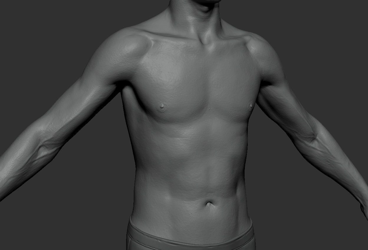 Male Body 2 Sculpt - Updated Low-poly 3D model_13