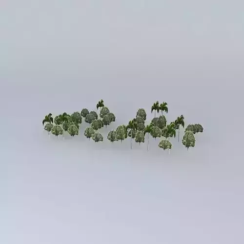 Square in Campinas SP Center