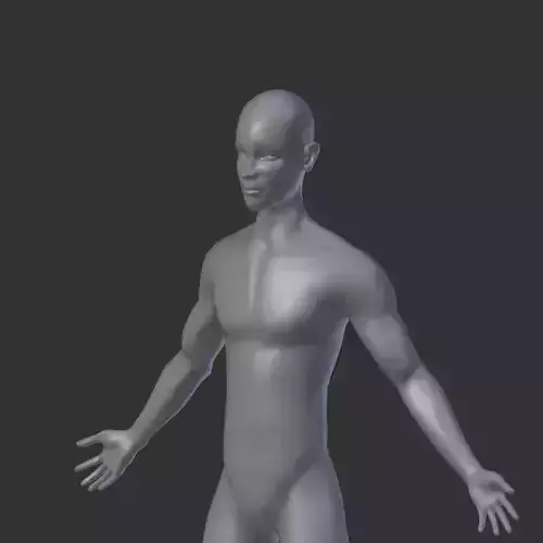 Man Model male mannequin