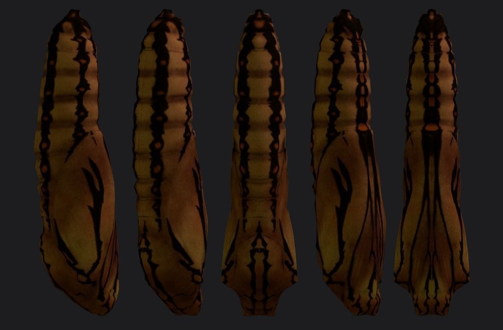 Chrysalis 2 butterfly Low-poly 3D model_5