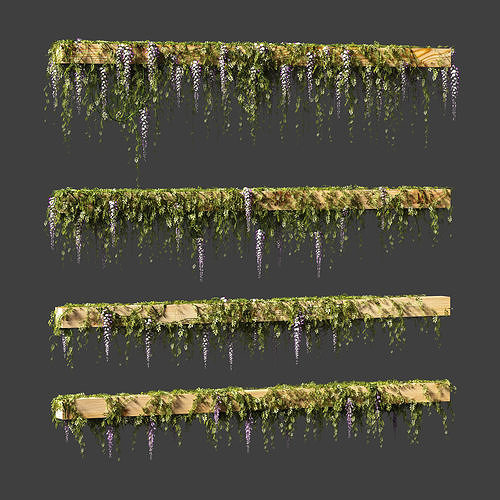 Wisteria blooming plant for beams or ceilings 3D model
