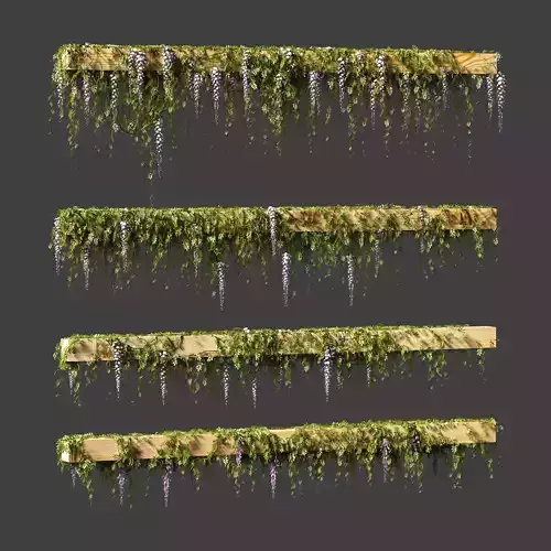 Wisteria blooming plant for beams or ceilings 3D model