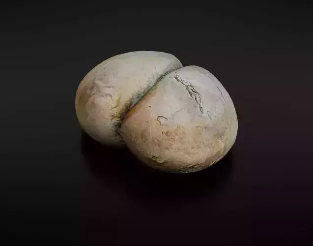 Bread roll Low-poly 3D model