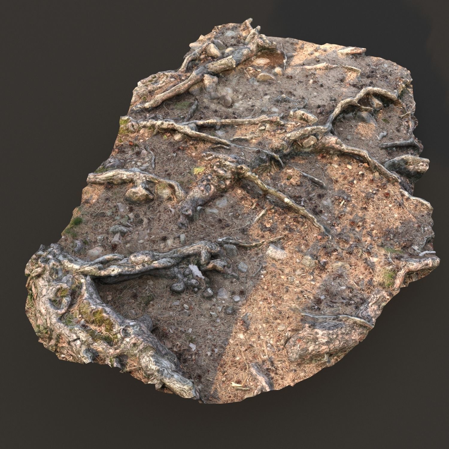 nature ground scan 001 3D model_4