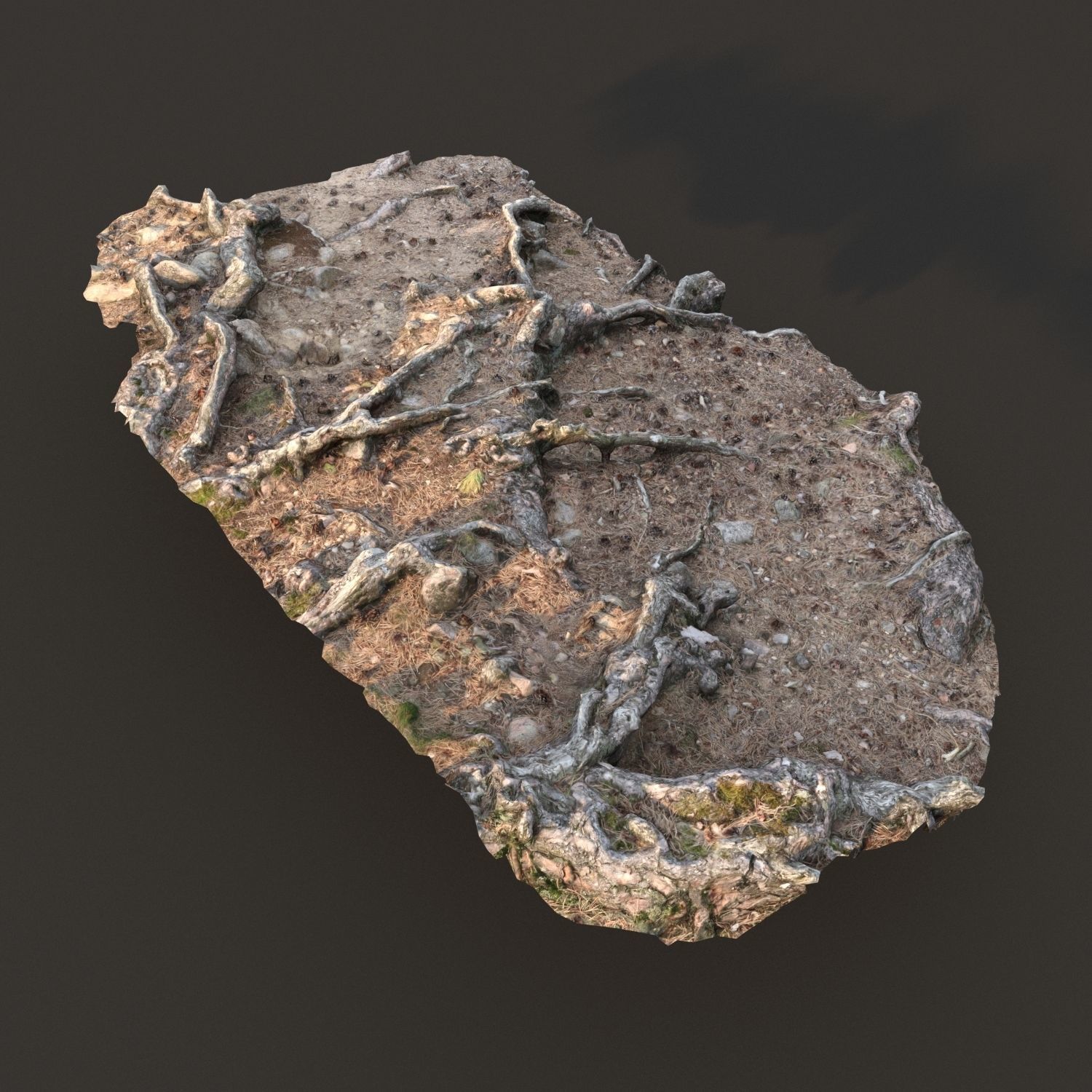 nature ground scan 001 3D model_3