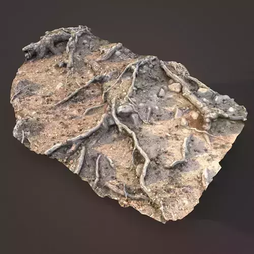 nature ground scan 001 3D model
