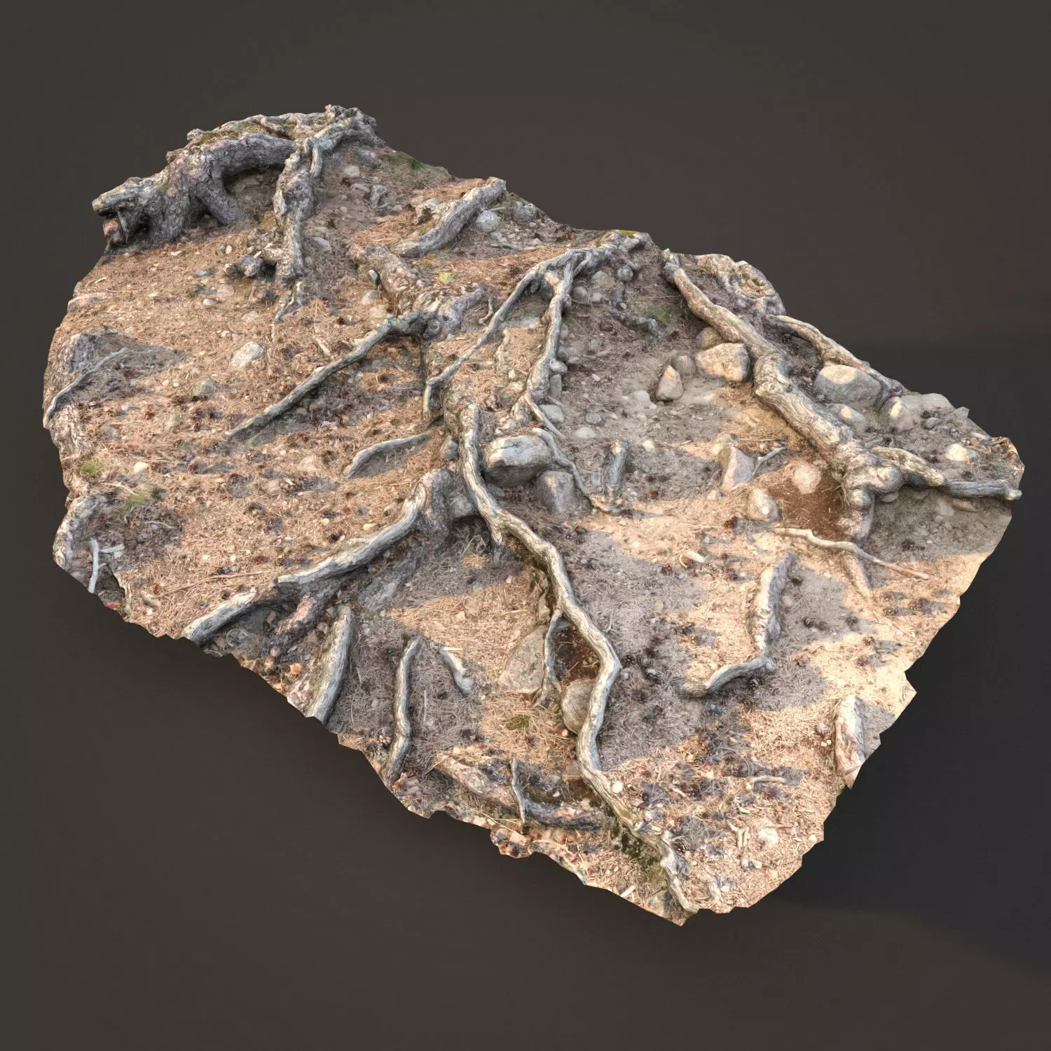 nature ground scan 001 3D model_0