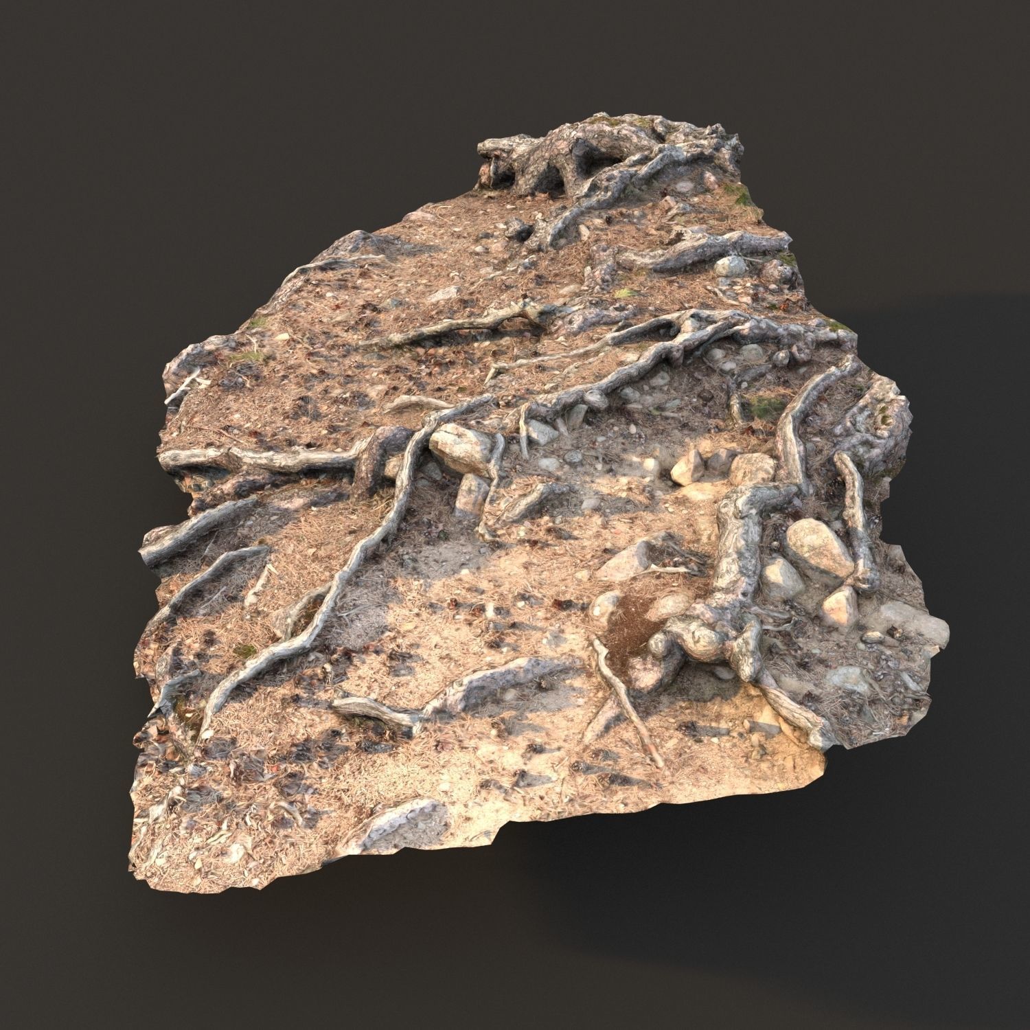 nature ground scan 001 3D model_2