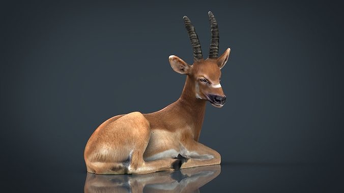 African Antelope Low-poly 3D model