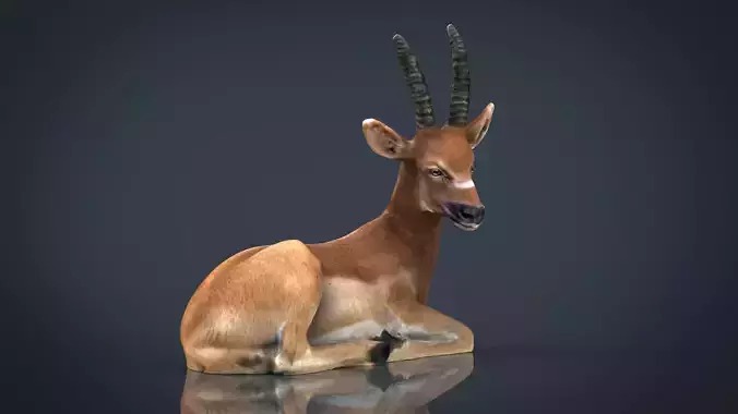 African Antelope Low-poly 3D model