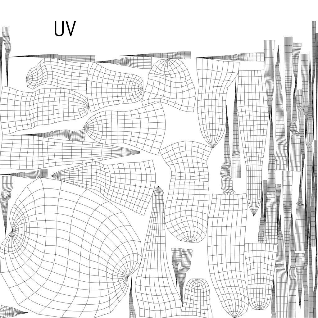 ginseng chinese root 3D model_13