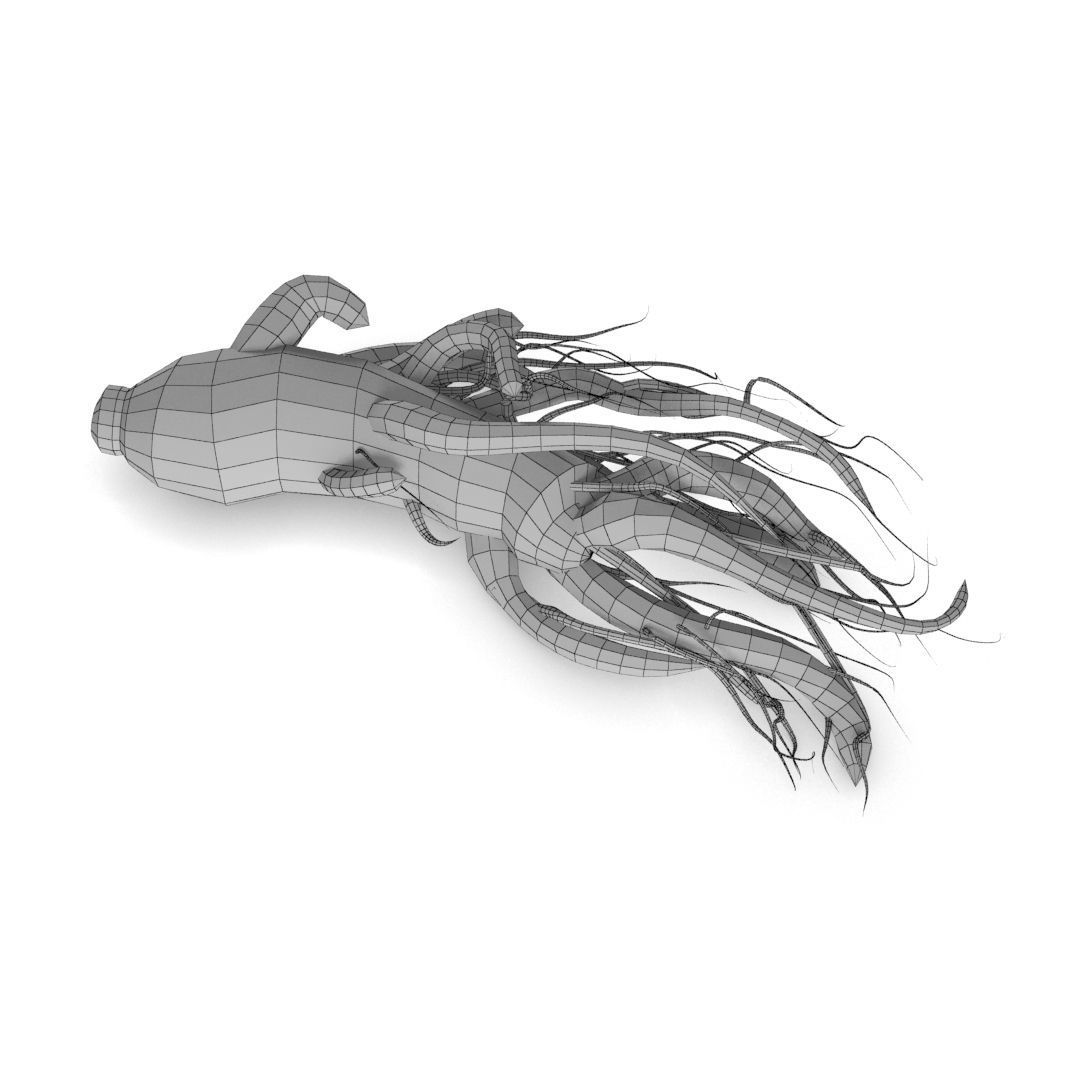 ginseng chinese root 3D model_5