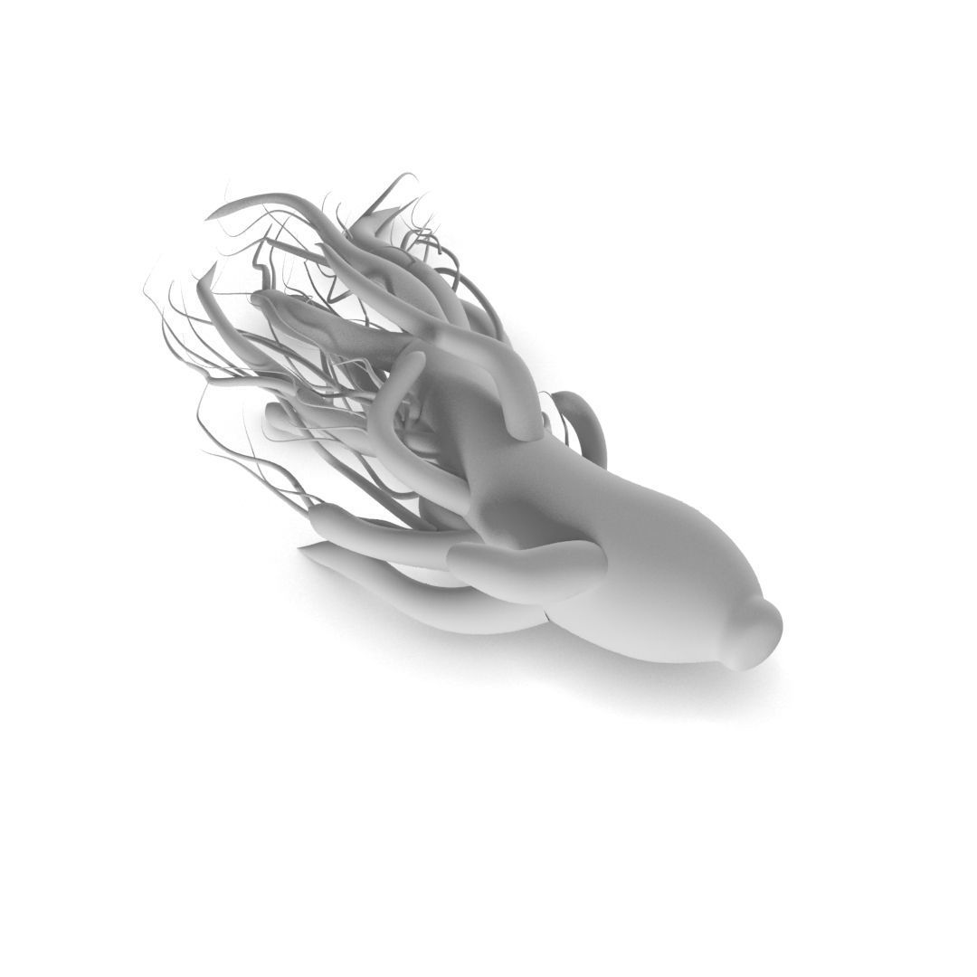 ginseng chinese root 3D model_10