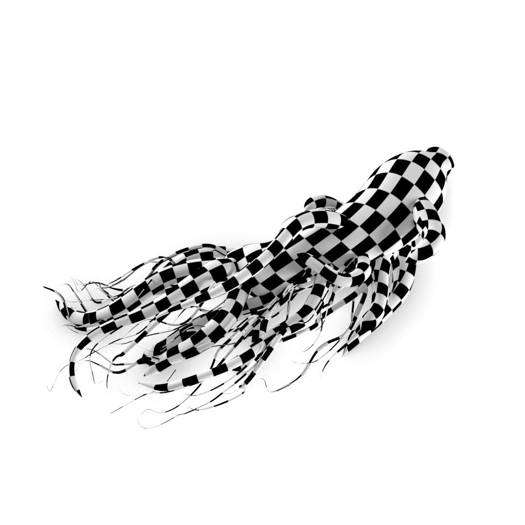 ginseng chinese root 3D model_12