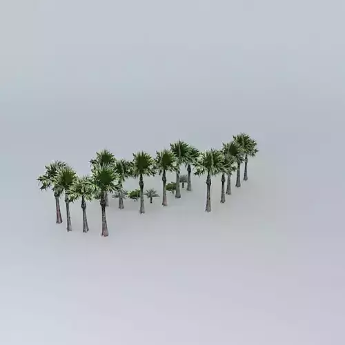 Trees in front of the Presbyterian Cathedral of Rio de Janeiro