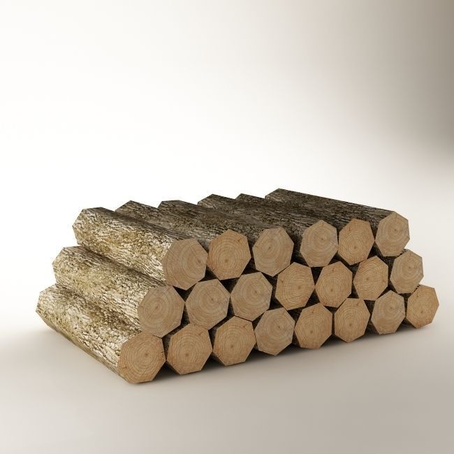 Woods 01  3D model_1