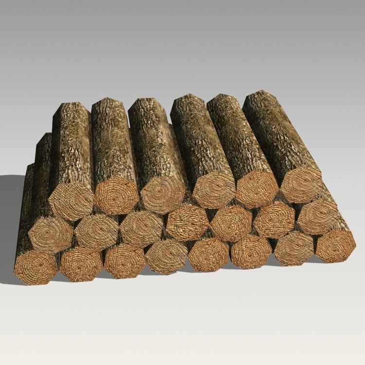 Woods 01  3D model_4