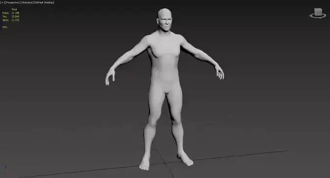 Male topology