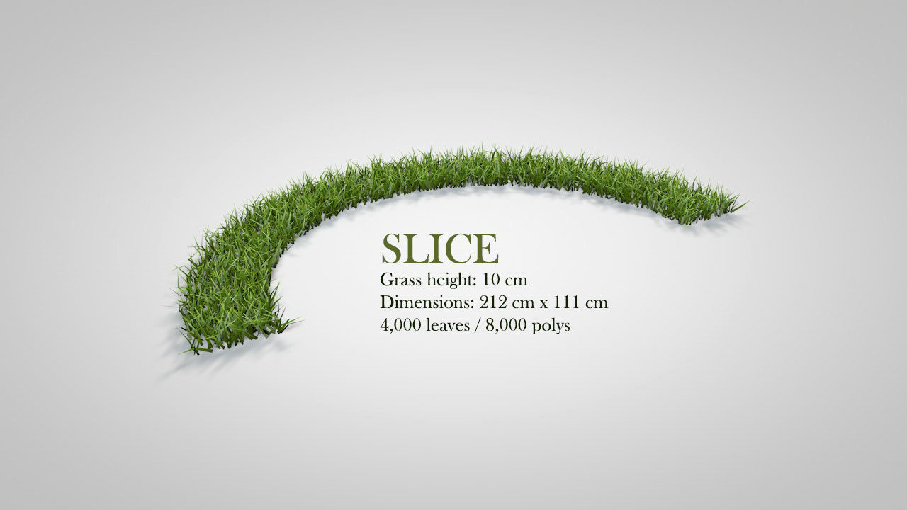 Grass Patterns v2 3D model_17