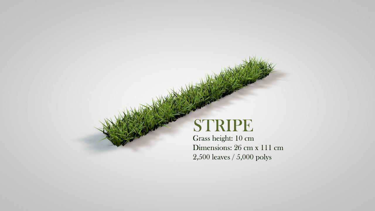 Grass Patterns v2 3D model_19